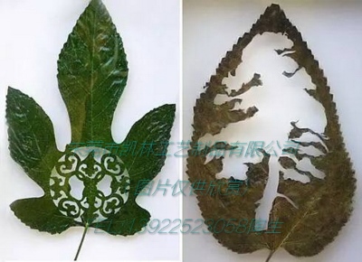 木器&工艺品 019